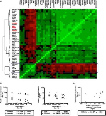 Comprehensive Antiretroviral Restriction Factor Profiling Reveals the Evolutionary Imprint of the ex Vivo and in Vivo IFN-β Response in HTLV-1-Associated Neuroinflammation